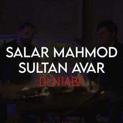 Dlniaba