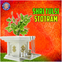 Shri Tulsi Stotram