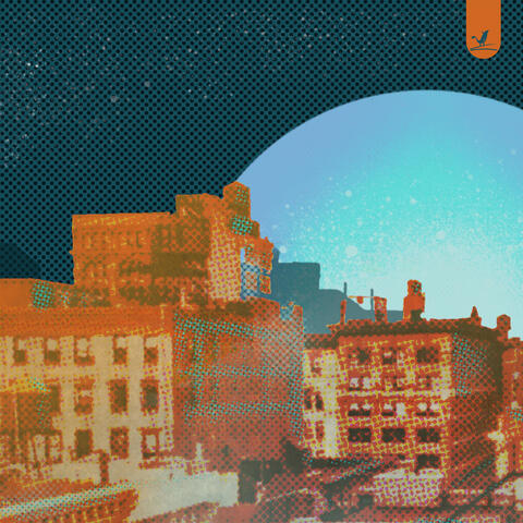 Bed-Stuy Hustle