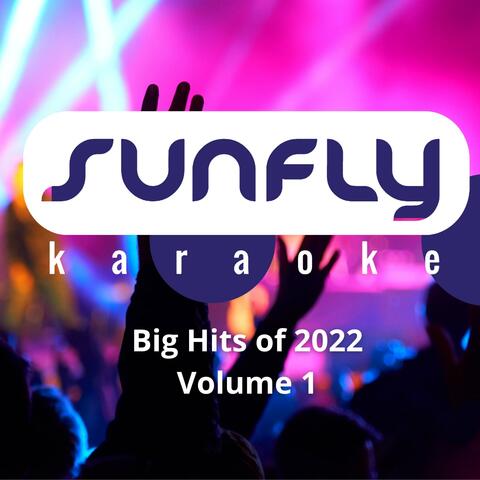 Best Of Sunfly 2022, Vol. 1