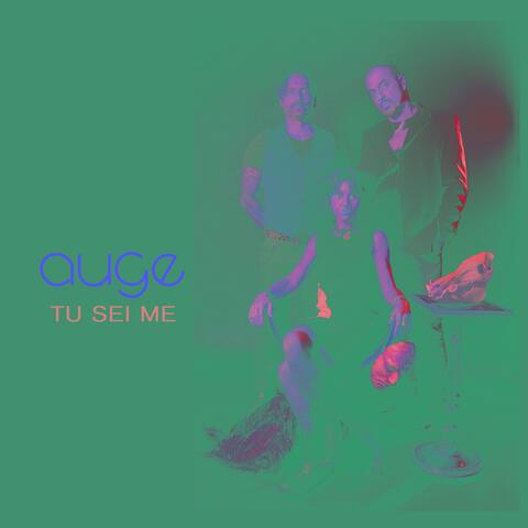 Tu sei me