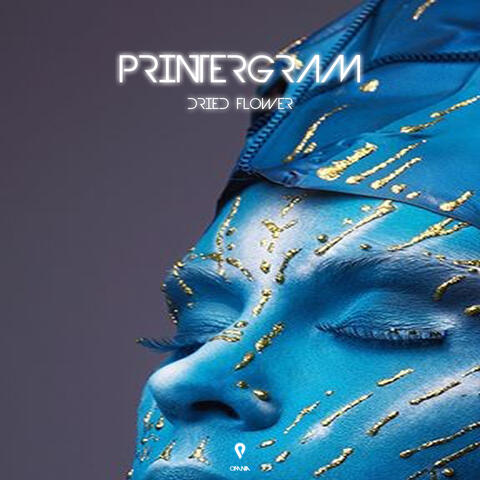 Printergram