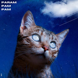 param pam pam