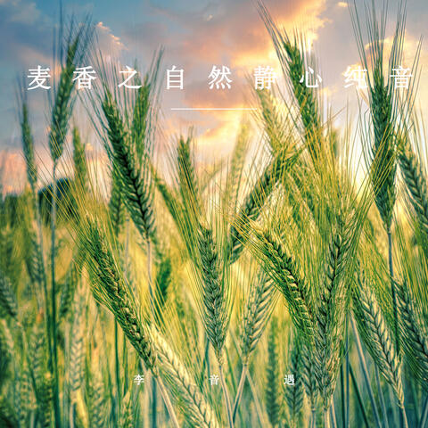 麦香之自然静心纯音