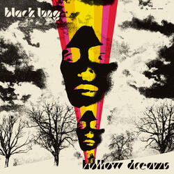 Hollow Dreams