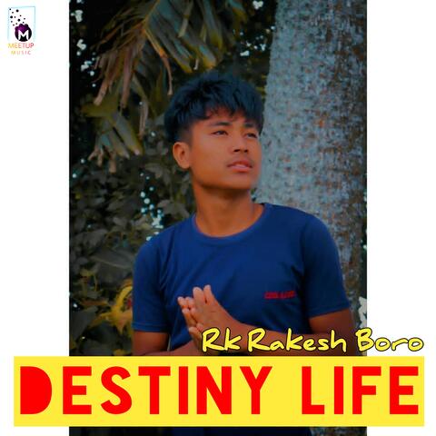 Destiny Life