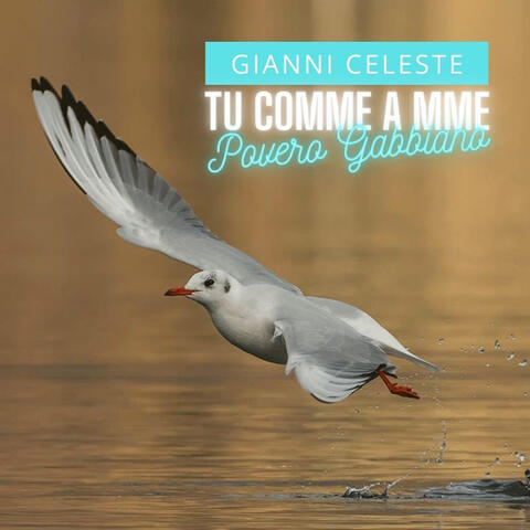 Tu Comme A Mme