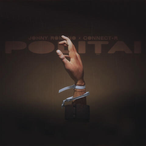 Politai