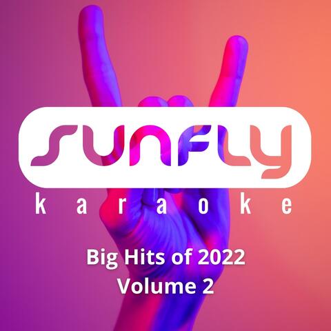 Sunfly's Big Hits Of 2022, Vol. 2