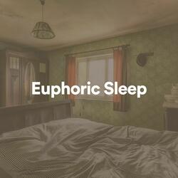 Euphoric Sleep, Pt. 3