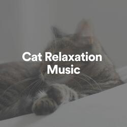 Cat Relaxation Music, Pt. 19