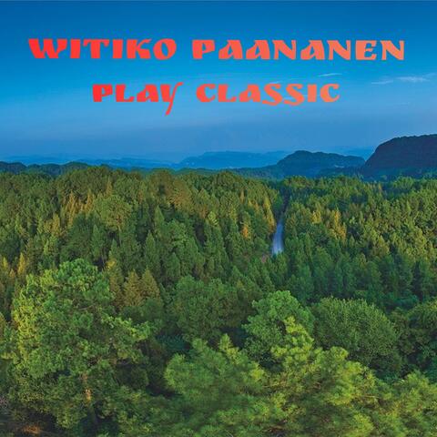 Witiko Paananen