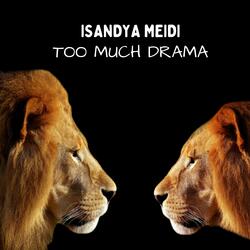 Too Much Drama