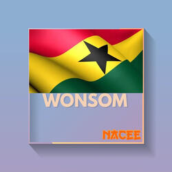Wonsom