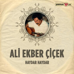 Haydar Haydar
