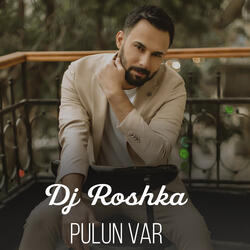 Pulun var