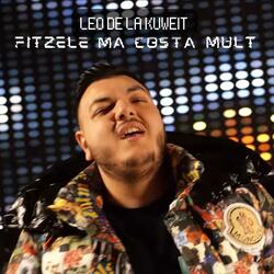 Fitzele ma costa mult