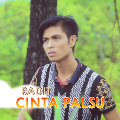 Cinta Palsu