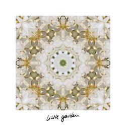 Little Garden