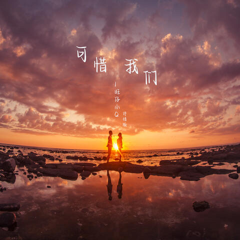 可惜我们