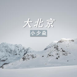 大北京
