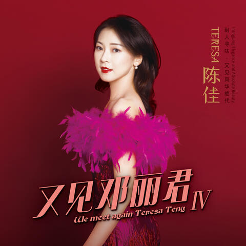 又见邓丽君Ⅳ