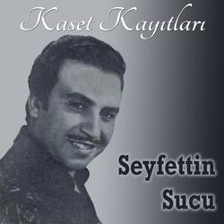 Bahçada Nar Ağacı