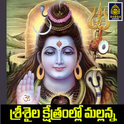 Srisaila Kshetramlo Mallanna
