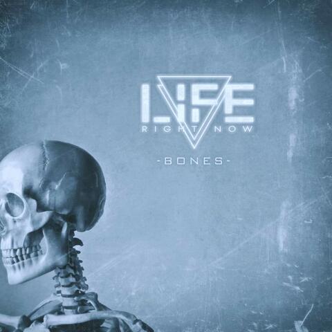 Bones