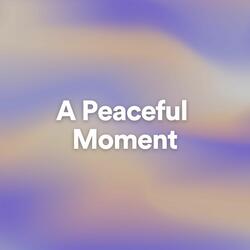 A Peaceful Moment, Pt. 7