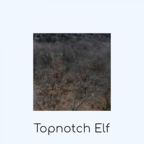 Topnotch Elf