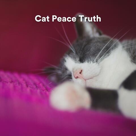 Cat Peace Truth