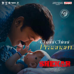 Chinni Chinni Praanam