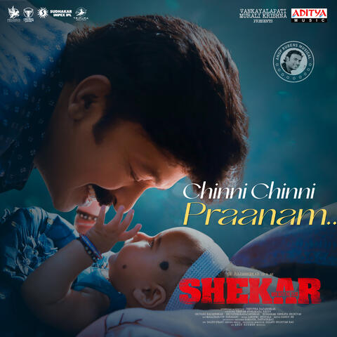 Chinni Chinni Praanam