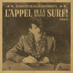 Surfers From Hell