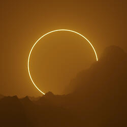 我预见了所有悲伤