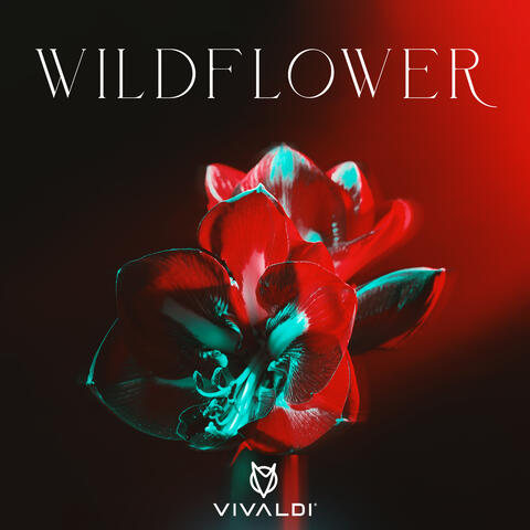 Wildflower