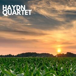 Cornfield medley
