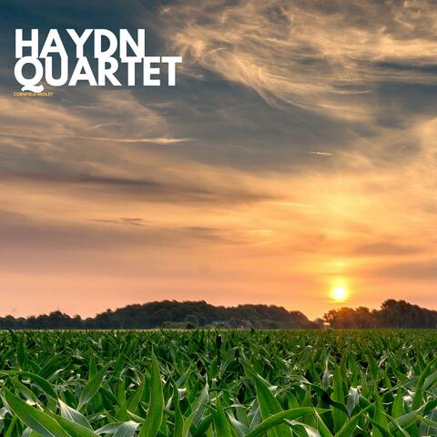 Cornfield medley