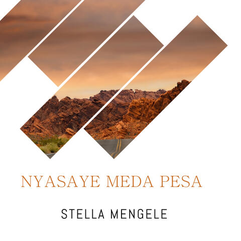 Nyasaye Meda Pesa