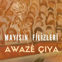 Mayısın Filizleri