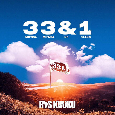 3 3 & 1