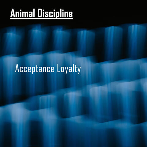 Acceptance Loyalty