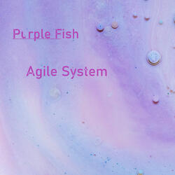Agile System