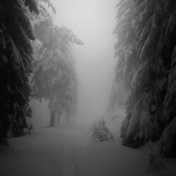 Замело