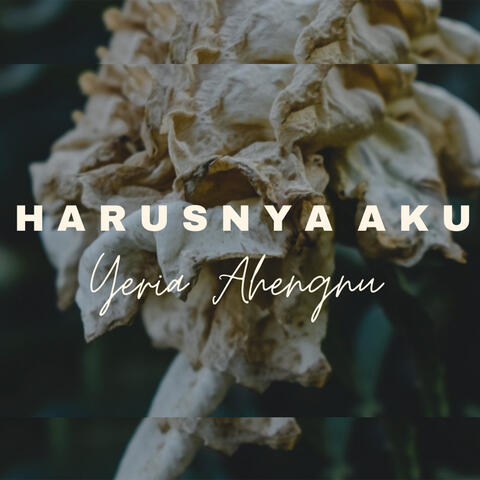 Harusnya Aku