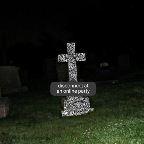 Disconnect At An Online Party