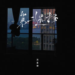 第二选择