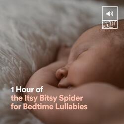 1 Hour of the Itsy Bitsy Spider for Bedtime Lullabies, Pt. 30