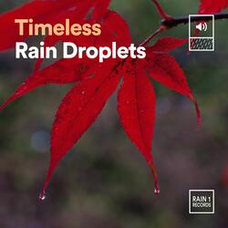 Rain Experience